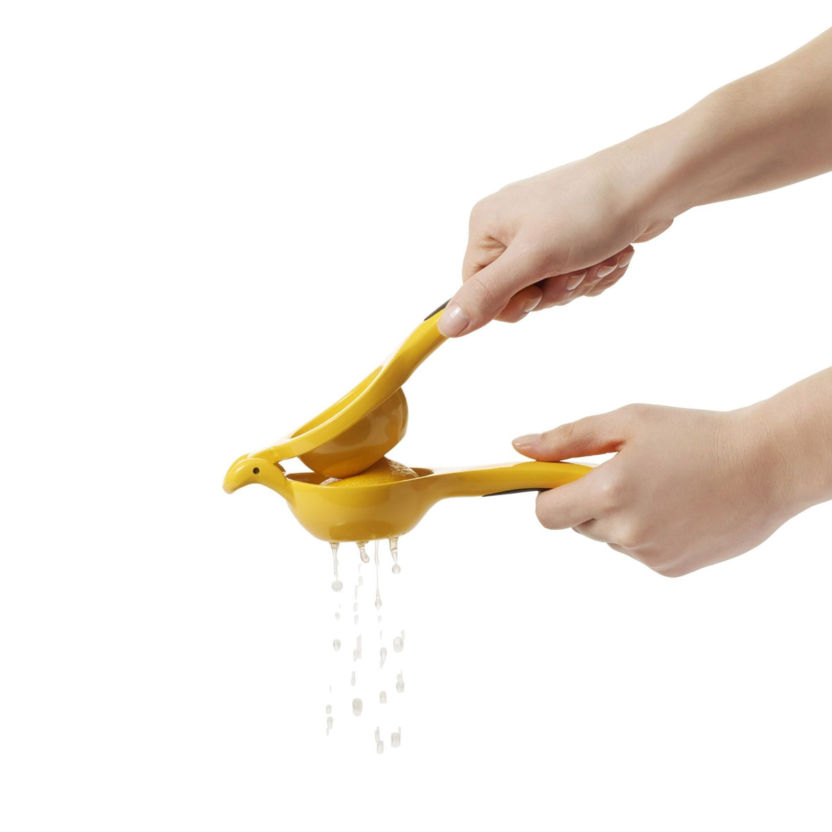 citrus-squeezer-h2 gg_1057962_4b.jpg