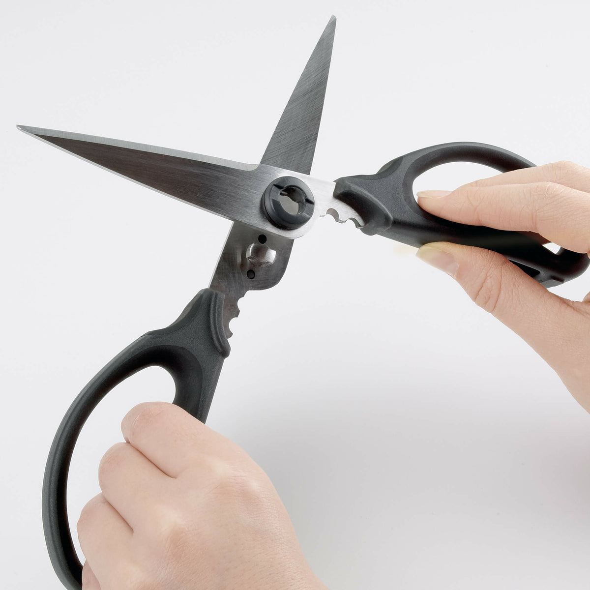 kitchen-and-herb-scissors-i9 gg_1072121_4_1_.jpg