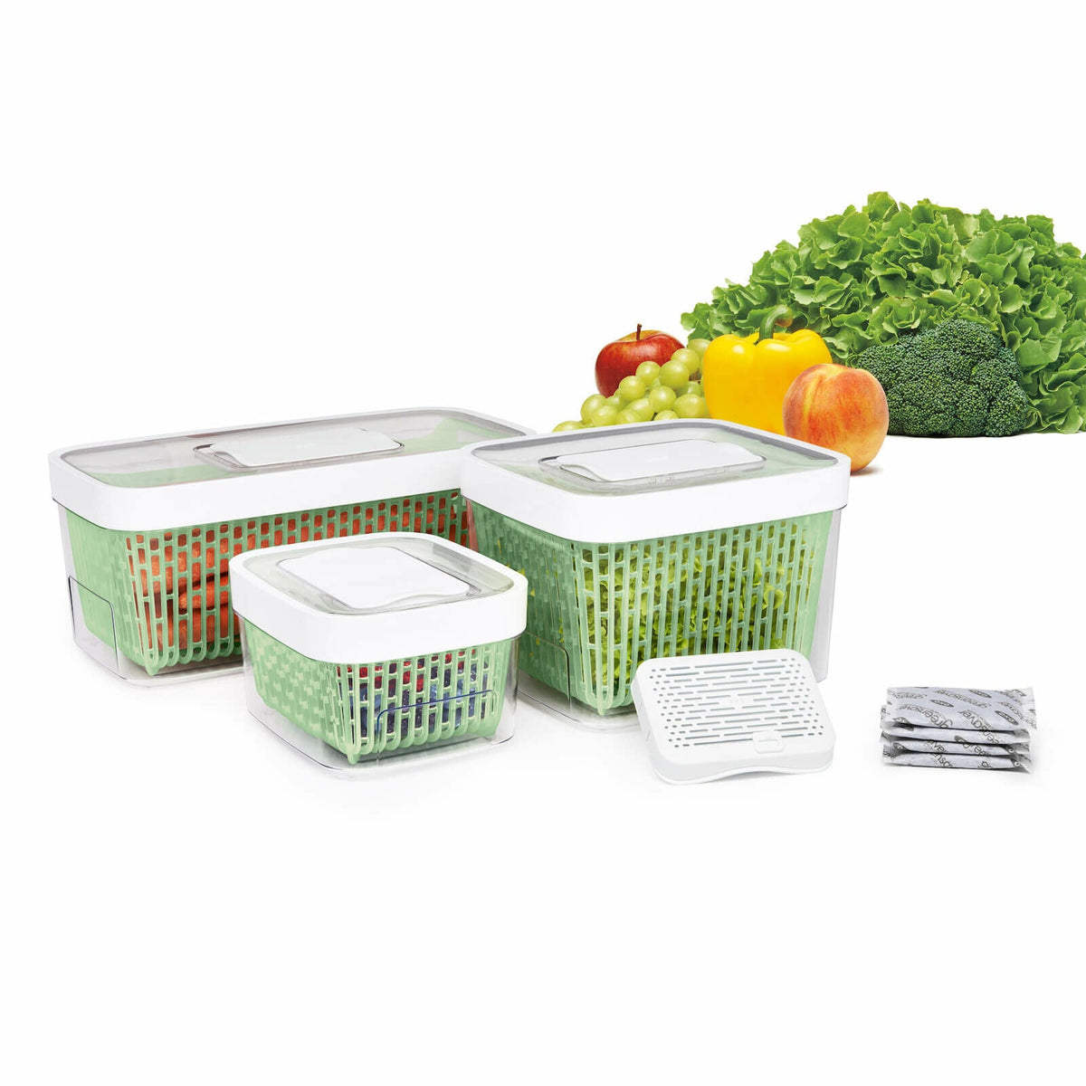 greensaver-produce-keeper-4-3-qt-y6 gg_11140000_1b_1_.jpg