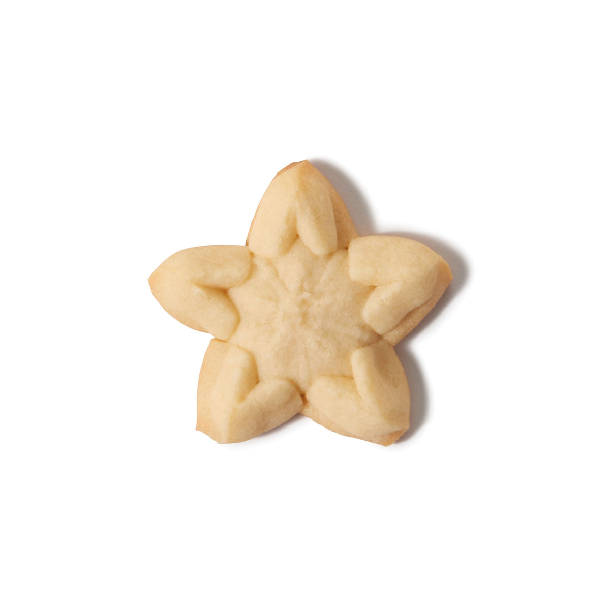christmas-cookie-press-disk-set-d6 11177800_6_-star.jpg