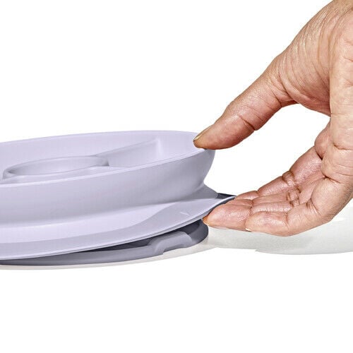 stick-and-stay-suction-divided-plate-n0 1134515a-7af7-4d77-8ad1-4534fbb13d49.jpg