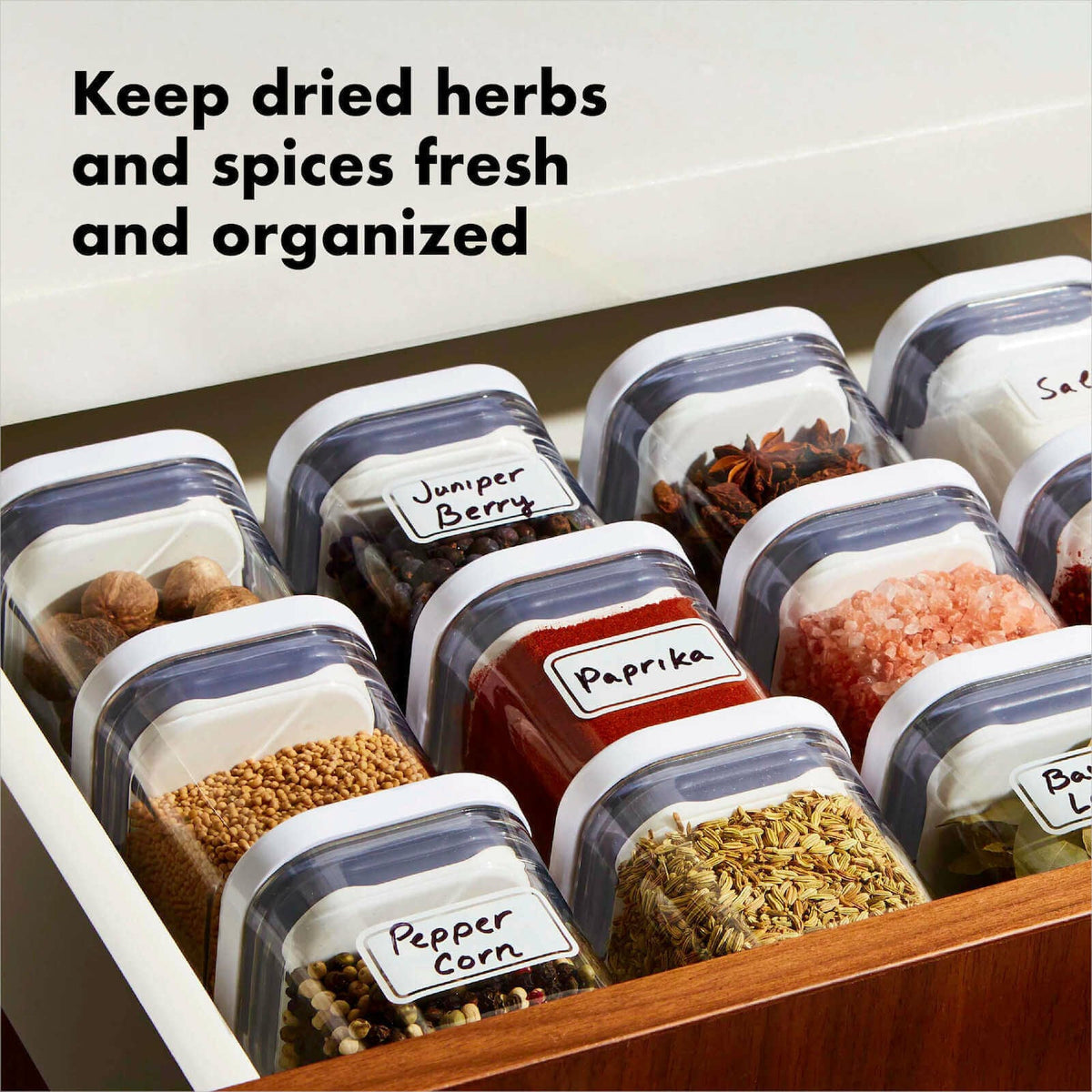 pop-4-piece-mini-container-set-a2 4_pieceaplusartboard_1-100_1_1_.jpg