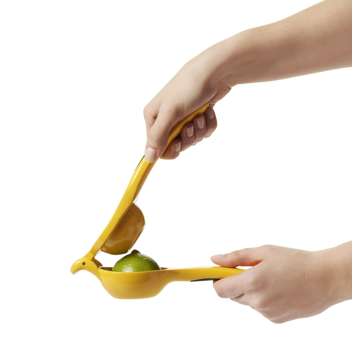 citrus-squeezer-h2 gg_1057962_4a.jpg
