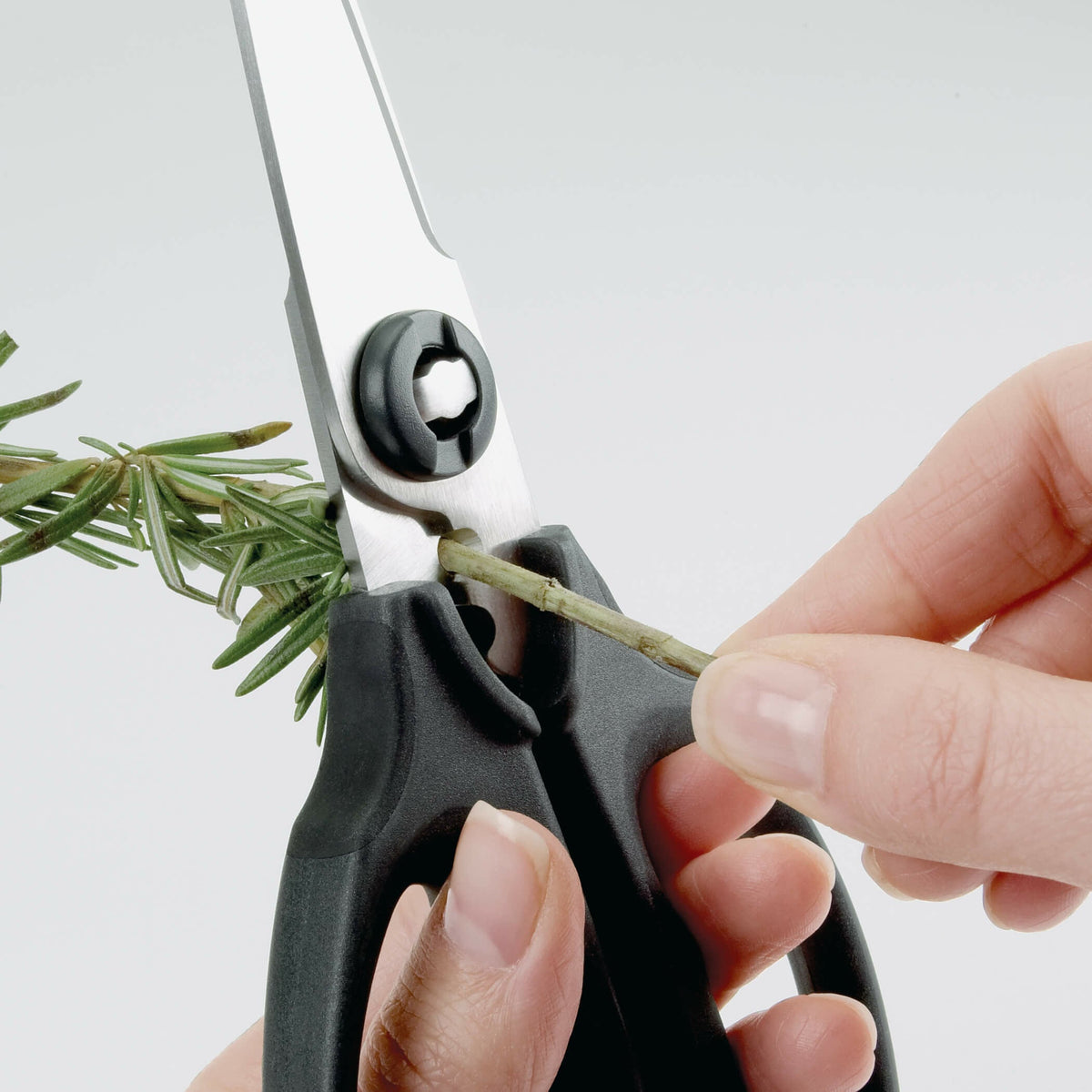 kitchen-and-herb-scissors-i9 gg_1072121_3_1_.jpg