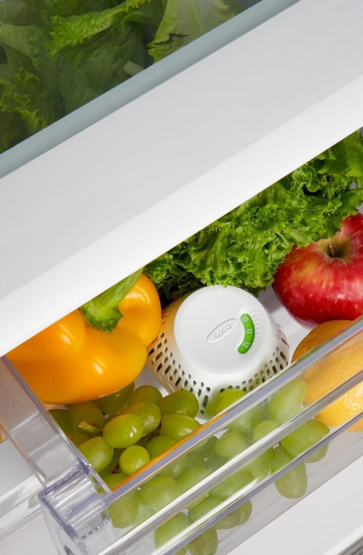 greensaver-standing-crisper-insert-1-pc-n8 gg_111212800_1b.jpg