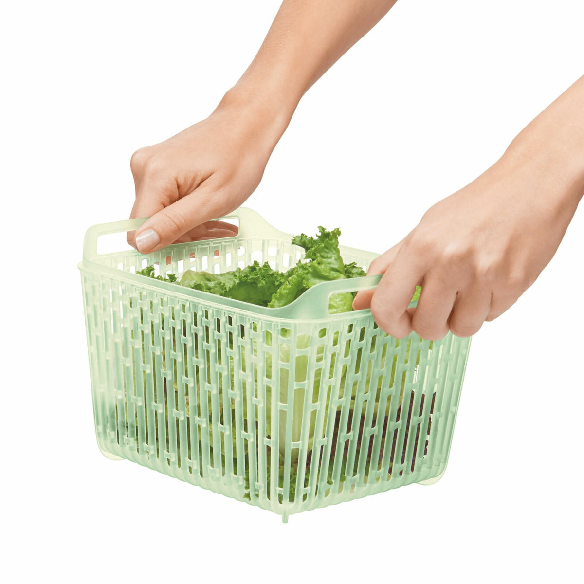 greensaver-produce-keeper-4-3-qt-y6 gg_11140000_4c_1_.jpg