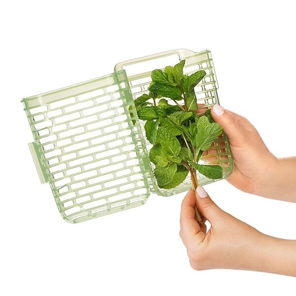 greensaver-herb-keeper-small-l1 gg_11212200_4.jpg