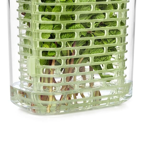 greensaver-herb-keeper-small-l1 gg_11212200_7.jpg