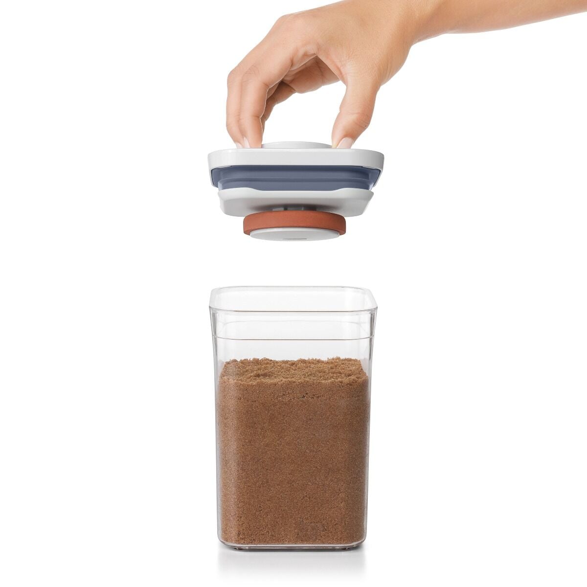 pop-brown-sugar-keeper-q8 gg_11235700_4_-v2.jpg