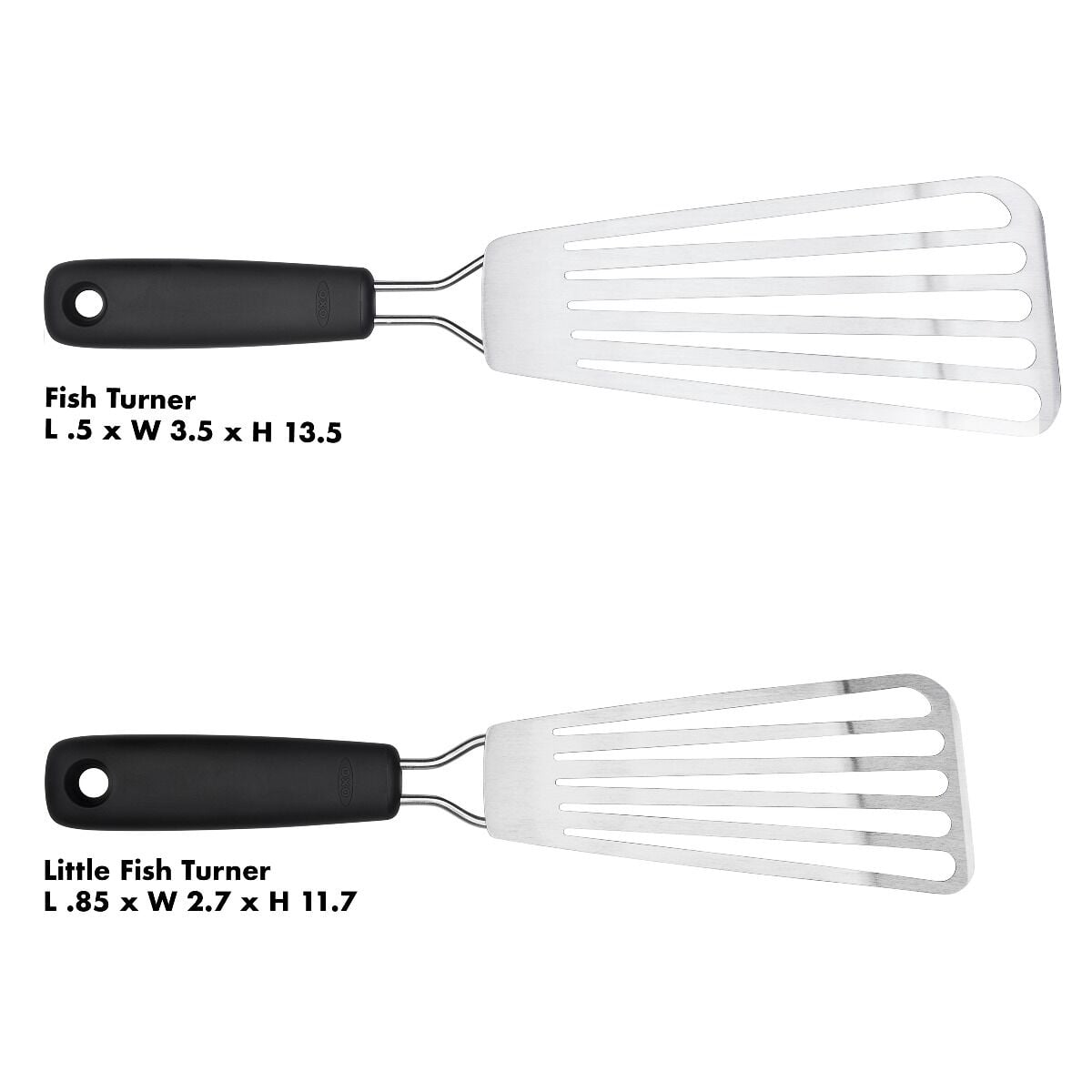 fish-turner-d5 gg_1130900_8a.jpg