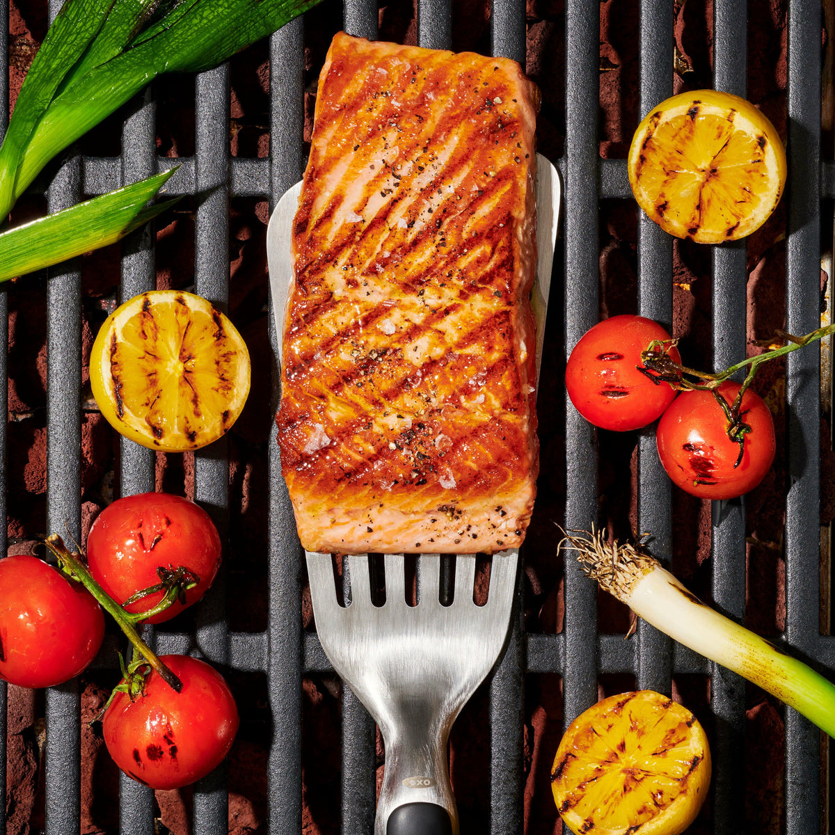 grilling-precision-turner-l2 gg_11309200_052020_11_rgb_1_.jpg