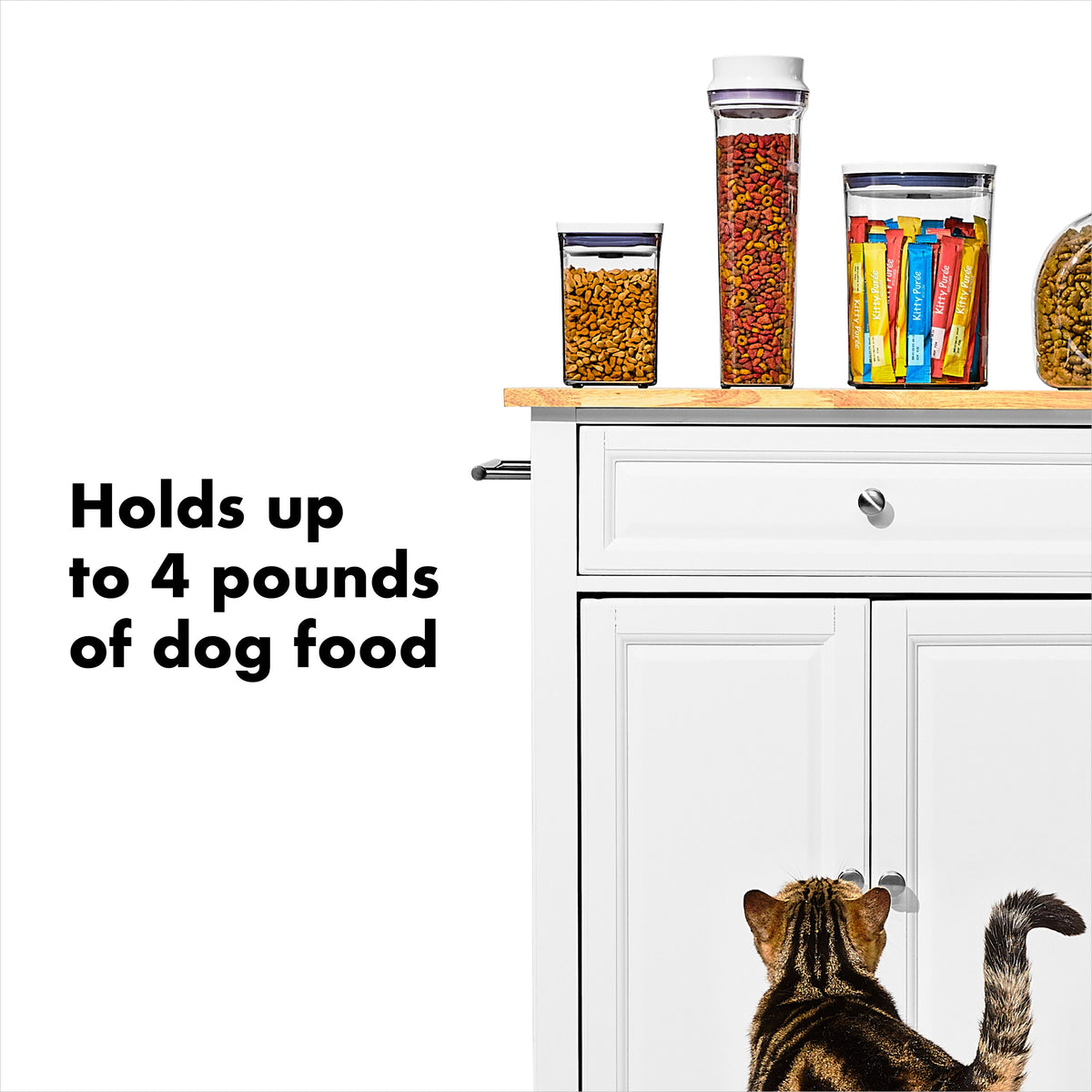 oxo-good-grips-pet-food-dispenser-4-5-qt-4-3-l-v3 gg_11332300_8_1_.jpg