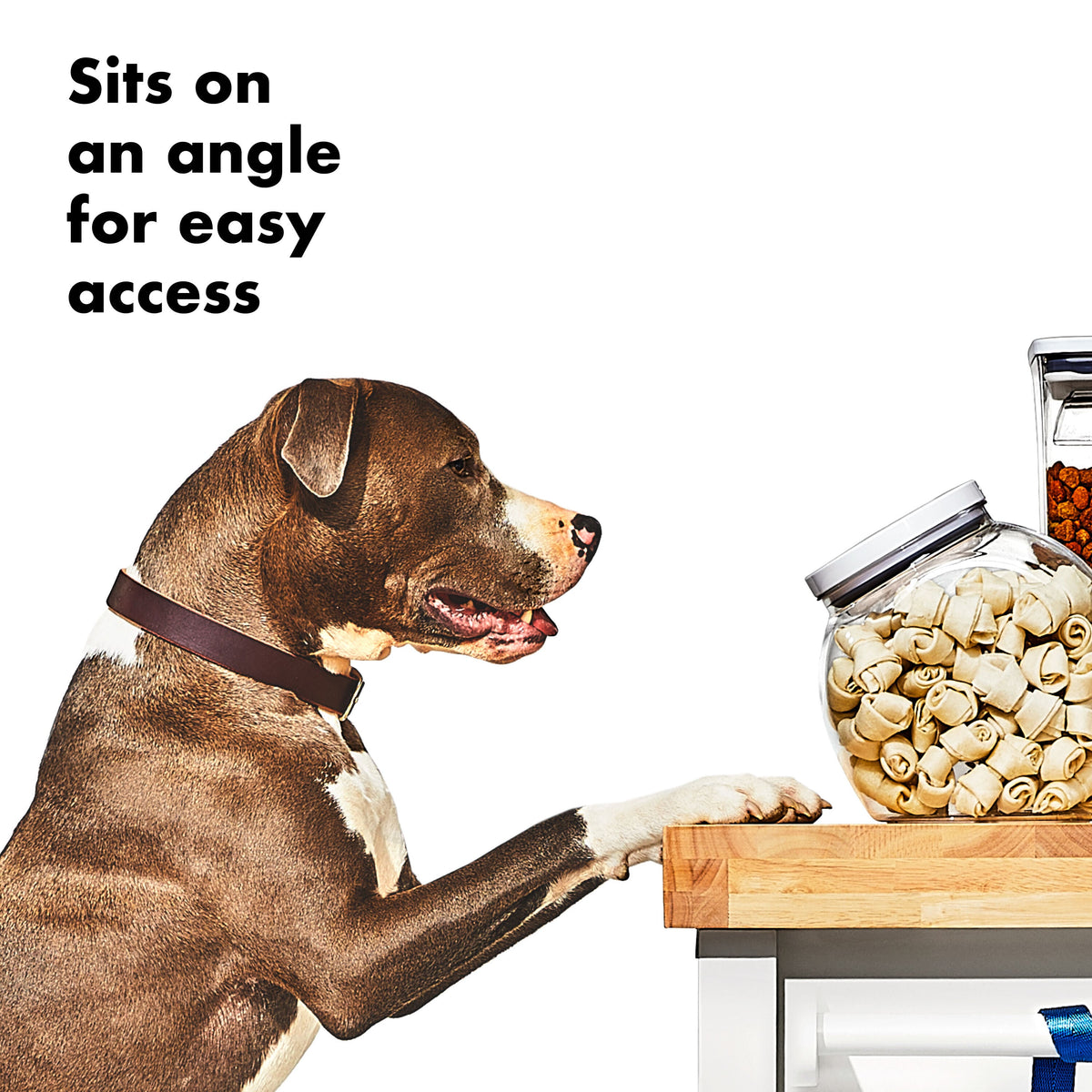oxo-good-grips-pet-pop-container-3-0-qt-2-8-l-r9 gg_11332400_8b.jpg