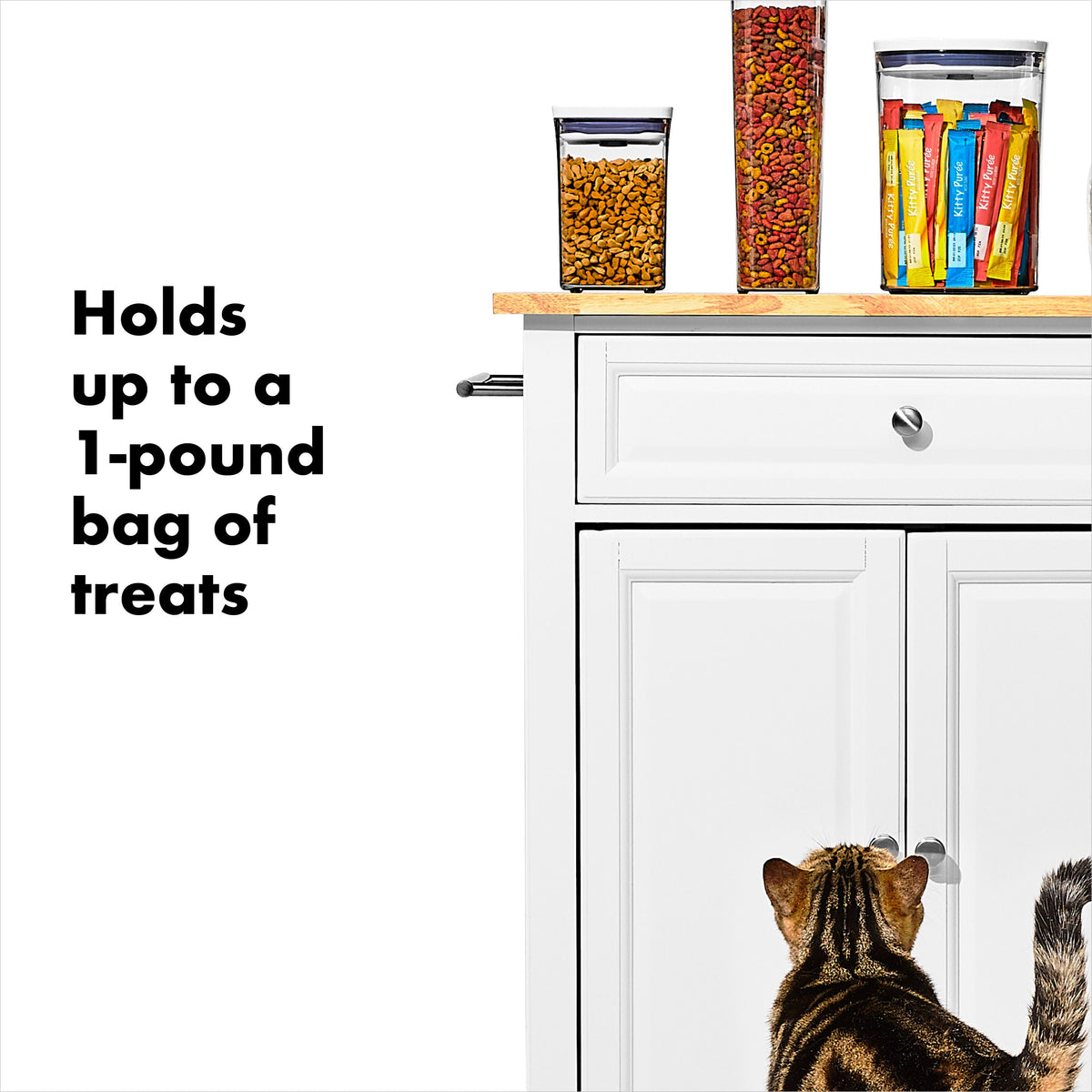 oxo-good-grips-pet-pop-container-1-1-qt-1-l-p8 gg_11332600_8.jpg