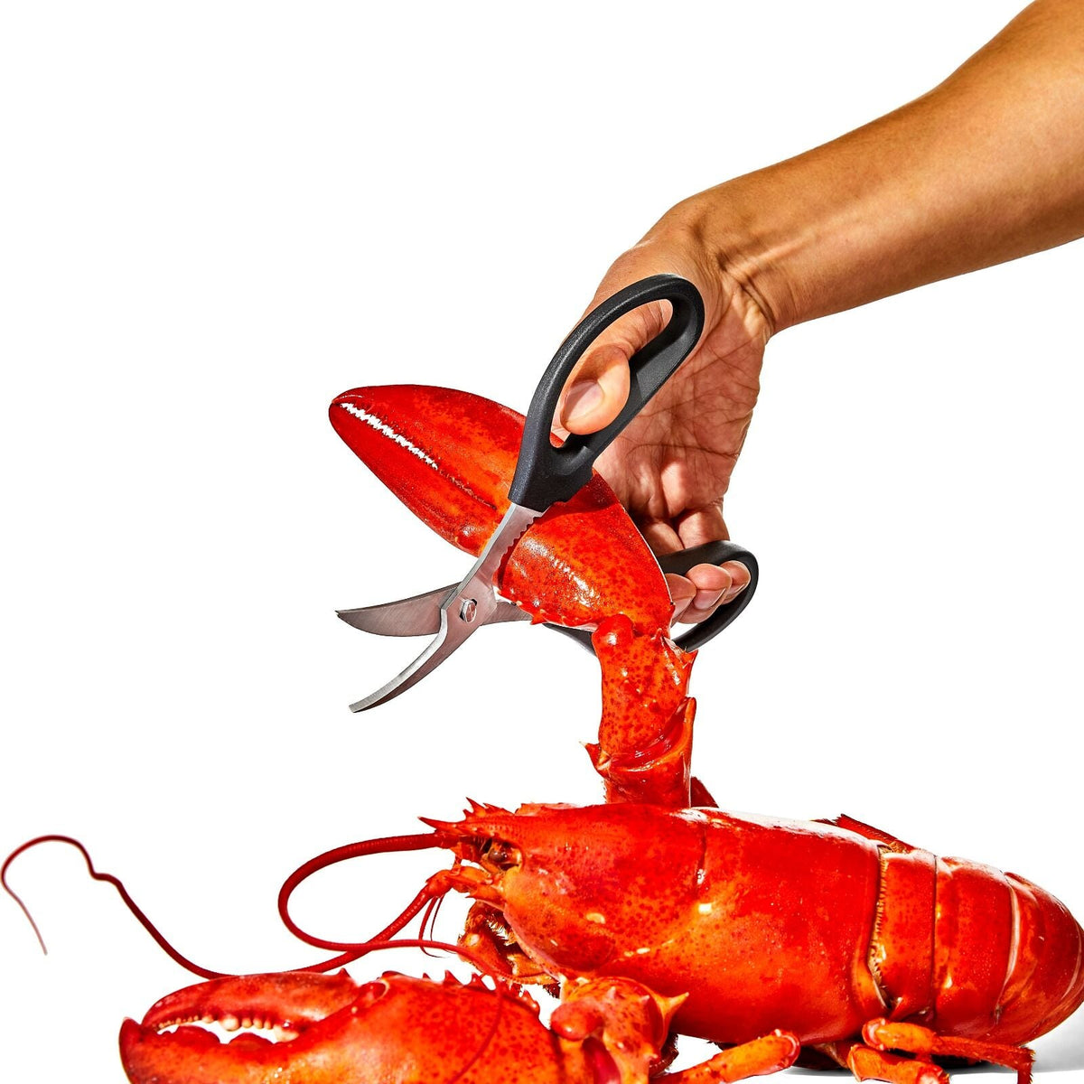 seafood-scissors-u5 gg_11350600_seafoodscissors_03_p.jpg