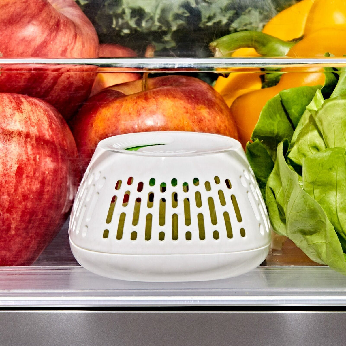 produce-saver-crisper-drawer-insert-2-pack-t3 gg_11427700_greensaver-crisper-drawer-insert_pdp_02.jpeg