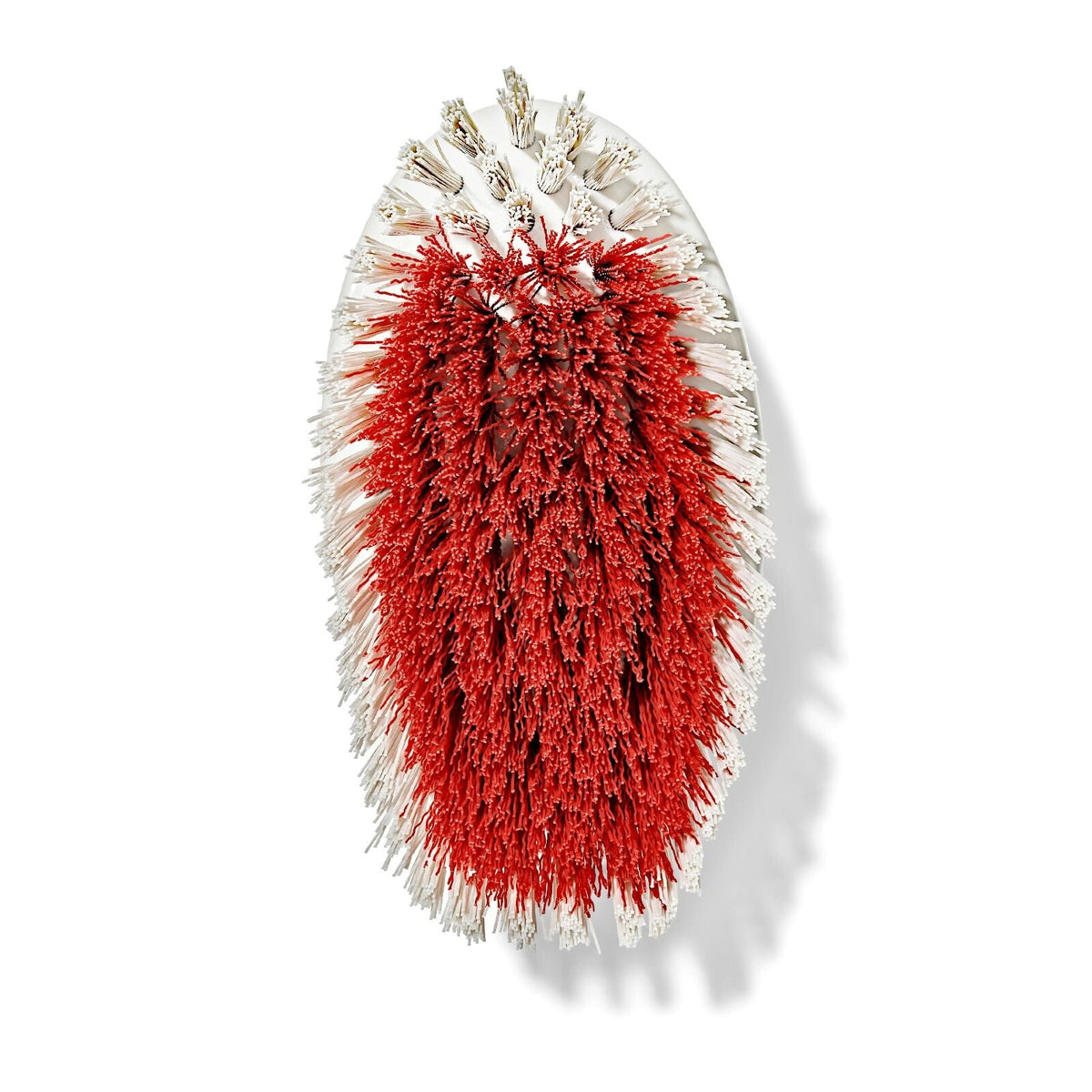 all-purpose-scrub-brush-2-pack-p8 gg_12426000_scrub-brush-2-pack_pdp_07.jpeg