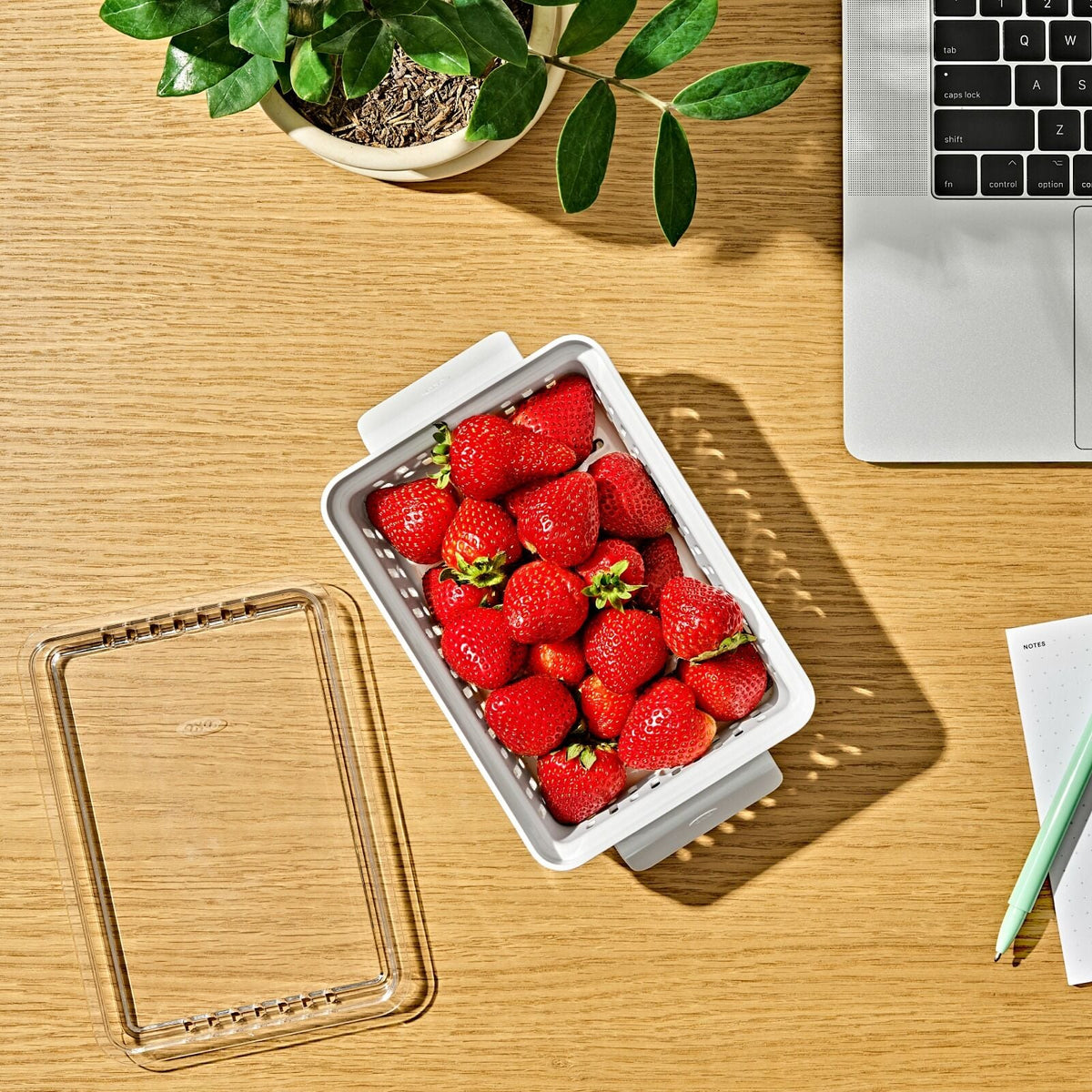 produce-saver-berry-keeper-2-piece-set-p6 gg_berry-keeper-produce-saver_pdp_01_1_.jpg