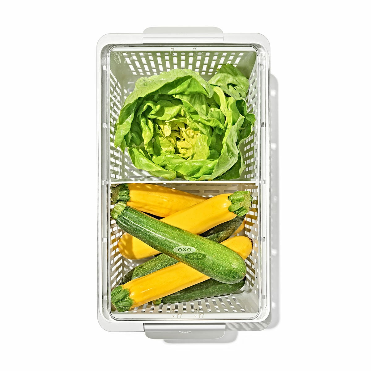 produce-saver-large-bin-c9 gg_sw_produce-saver-large_02.jpg