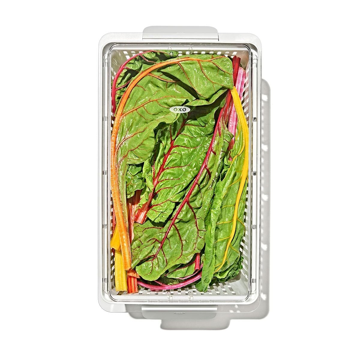 produce-saver-large-bin-c9 gg_sw_produce-saver-large_10.jpg