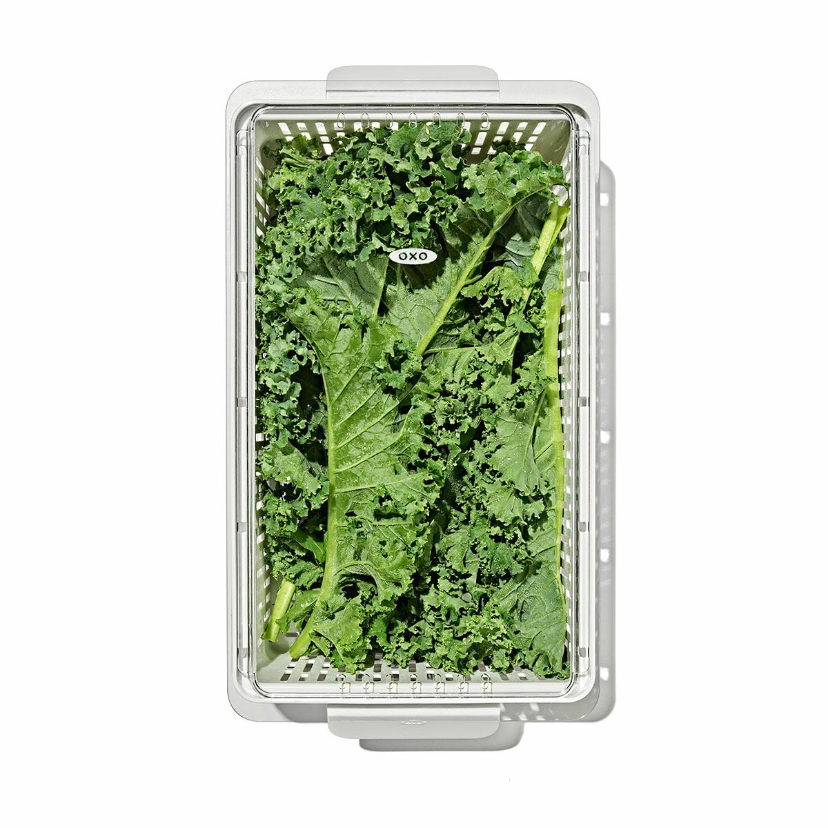 produce-saver-medium-bin-w4 gg_sw_produce-saver-medium_05.jpg