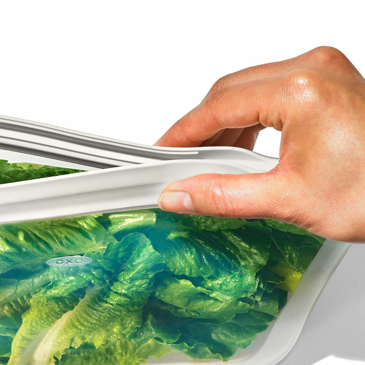 silicone-reusable-bag-half-gallon-bag-64-oz-oat-y2 oxo_sandwich_silicone_bag-11386600_013.jpg
