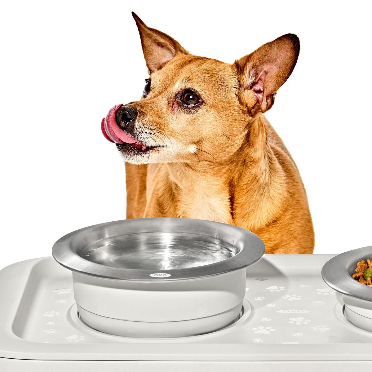 oxo-pet-nonslip-bowl-medium-2-cups-480-ml-j5 pet_7101900_nonslip-medium-bowl_pdp_02.jpeg