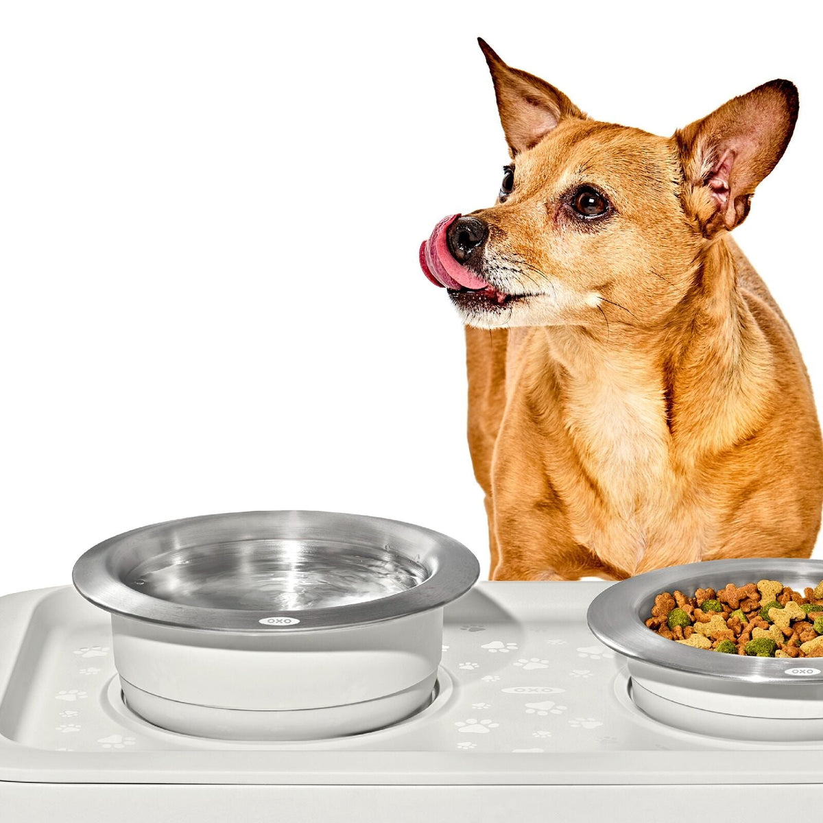 oxo-pet-nonslip-bowl-large-4-cups-950-ml-l9 pet_7102000_nonslip-large-bowl_pdp_02.jpeg
