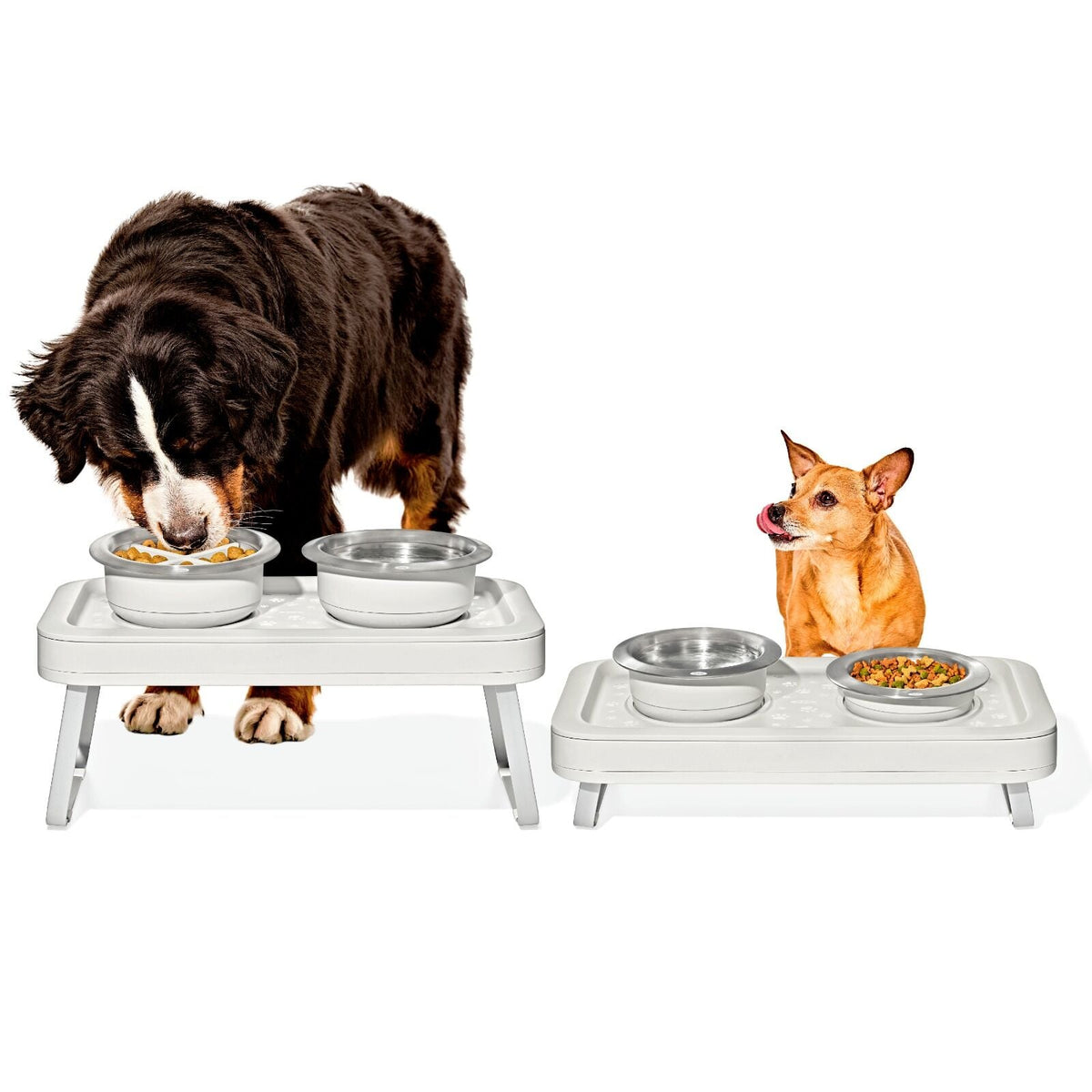 oxo-pet-adjustable-elevated-feeder-b0 pet_7102300_elevated-feeder_pdp_01.jpeg