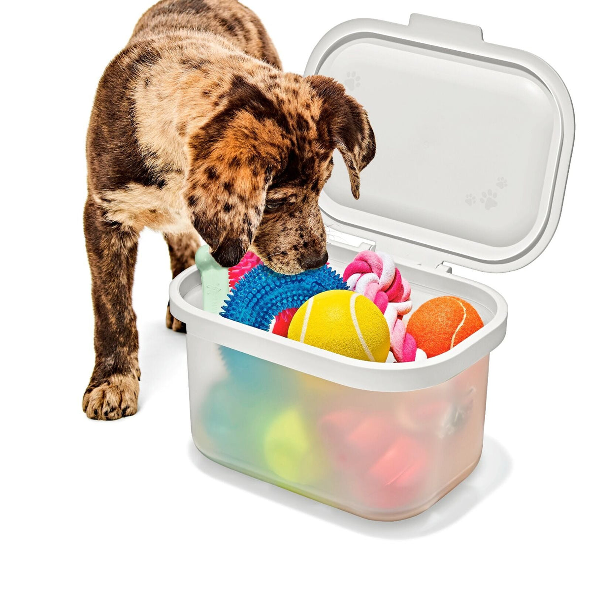 oxo-pet-multi-purpose-container-b1 pet_7301300_multi-purpose-container_pdp_06.jpeg