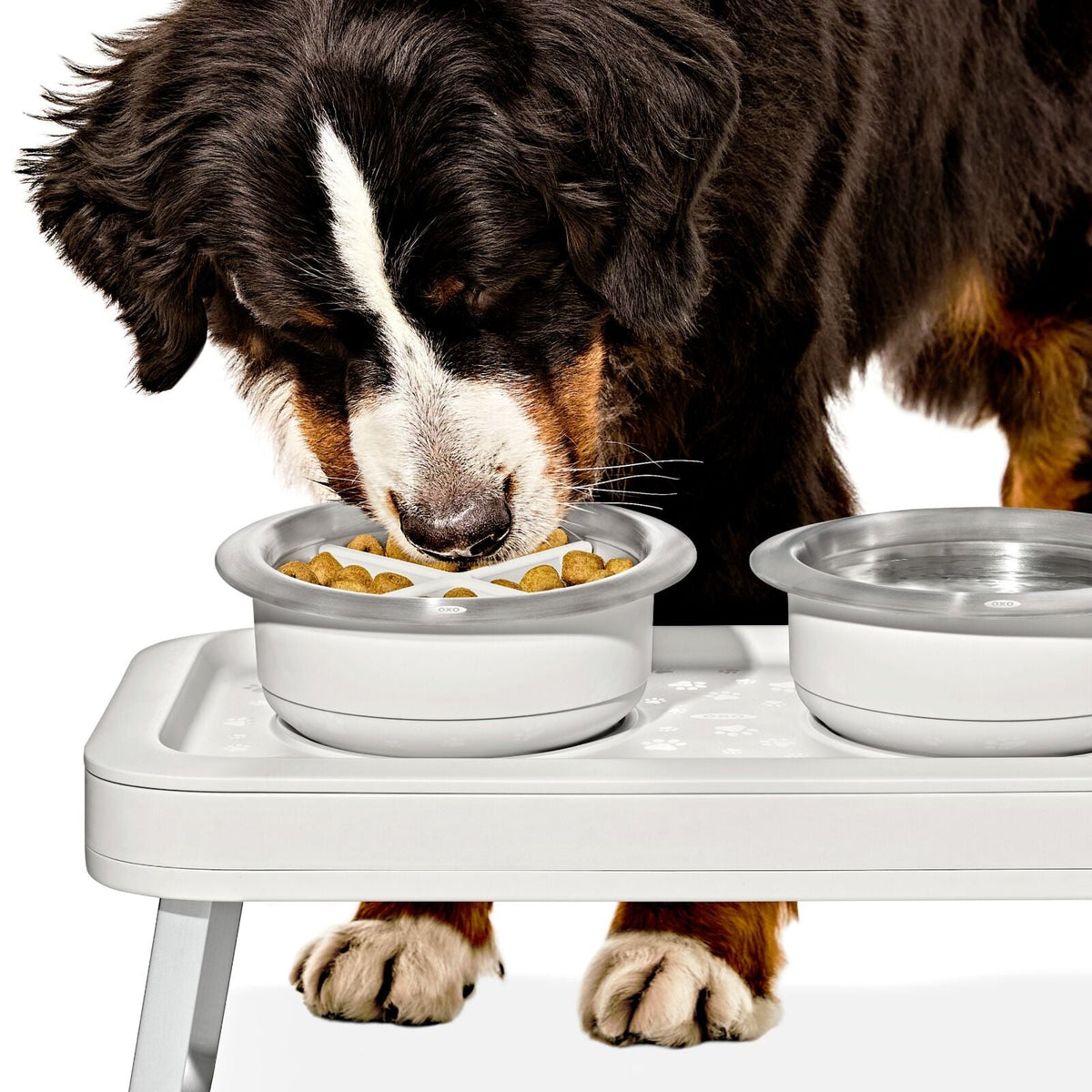 oxo-pet-easy-clean-slow-feeder-large-4-cups-950-ml-s9 pet_slow-feeder-medium-large_pdp_02.jpeg
