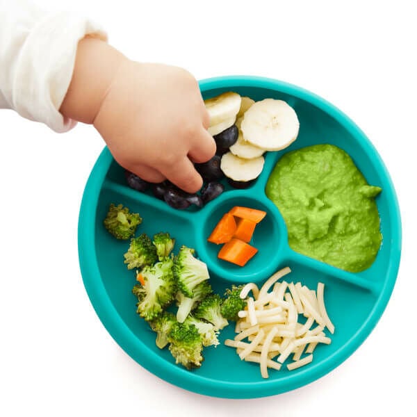 silicone-divided-plate-teal-y7 teal_divided_plate2_1_1.jpg