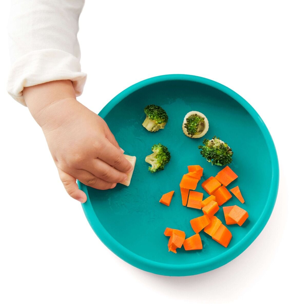 silicone-plate-k9 tot_61149500_17_food_emma_9b_1_.jpg